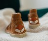 lis-camel-2.jpg