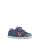 252162-A556-01.png